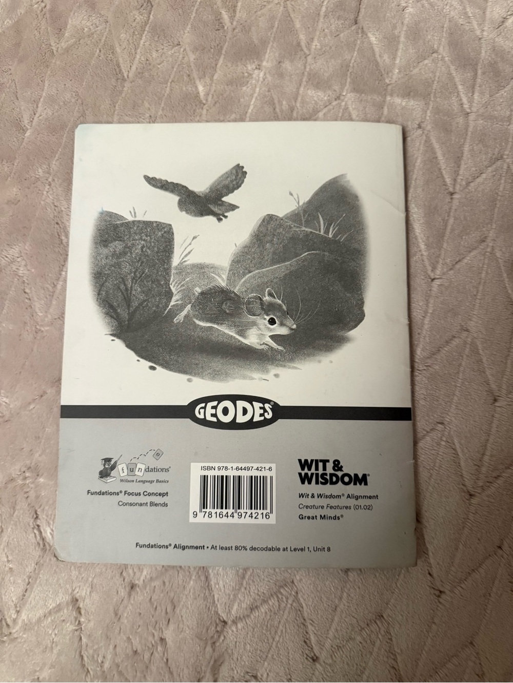 Children’s Geodes Module 2 Learning Book - Picture 2 of 6
